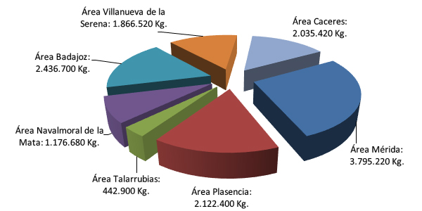 Datos_entrada_2019.jpg