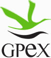 GPEX -  Sociedad de Gestin Pblica