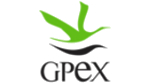 Logo GPEX